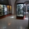 Museo Duca Martina